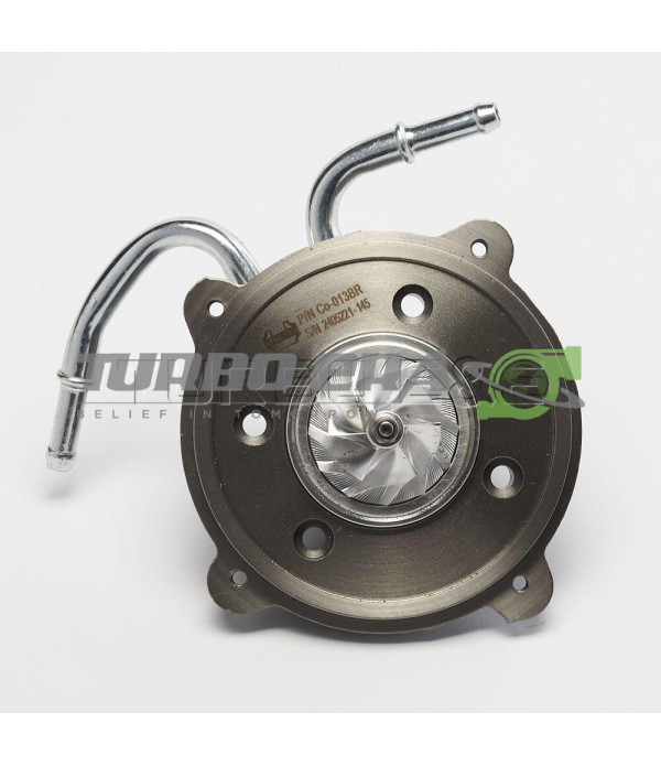 Корпус підшипників в зборі (Картридж) AM.GTDI12V-4...