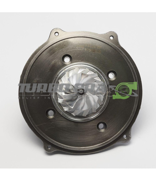 Корпус підшипників в зборі (Картридж) AM.GTDI12V-5BR