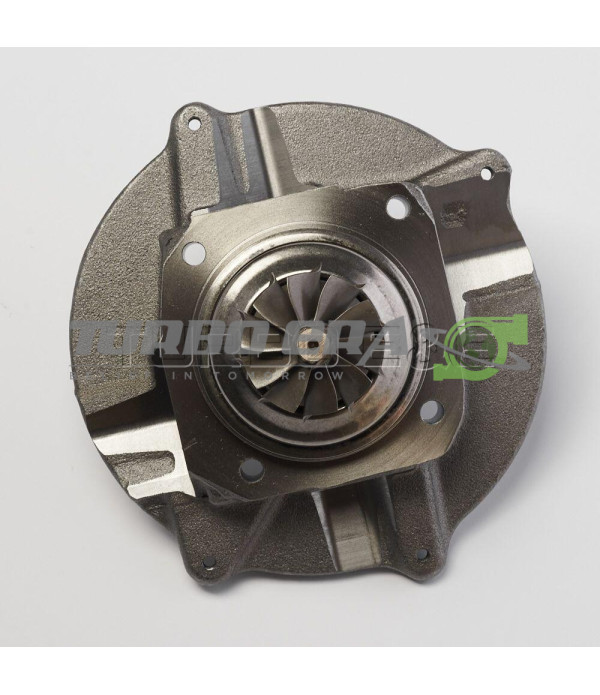 Корпус підшипників в зборі (Картридж) AM.GTDI12V-5BR