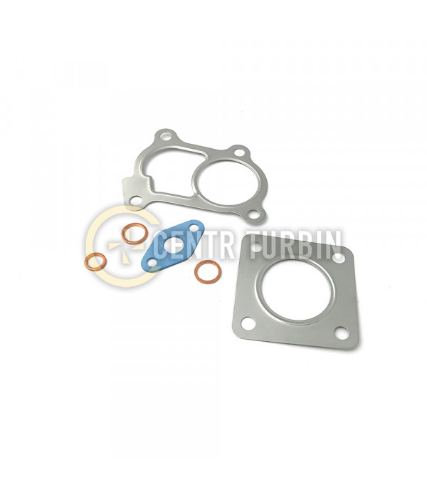 Прокладки турбіни VIFE