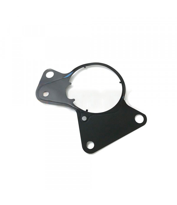 Прокладка паливного насоса 081.360, 081360, VW Phateon, Multivan, Touareg