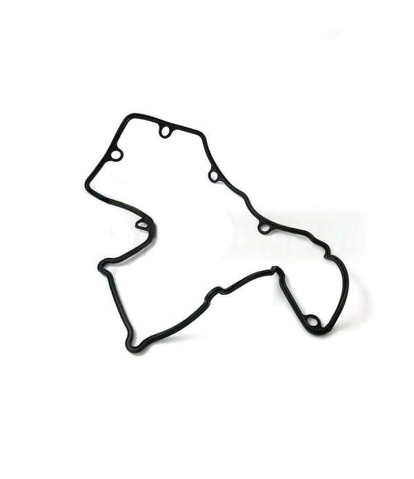 Прокладка клапанної кришки 081.540, 081540, Fiat, Iveco, Opel, Renault